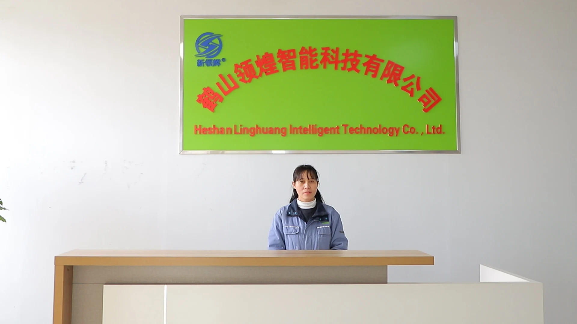 Changzhou Linghui Intelligent Technology Co., Ltd. Bicycle LCD Instrument Panels