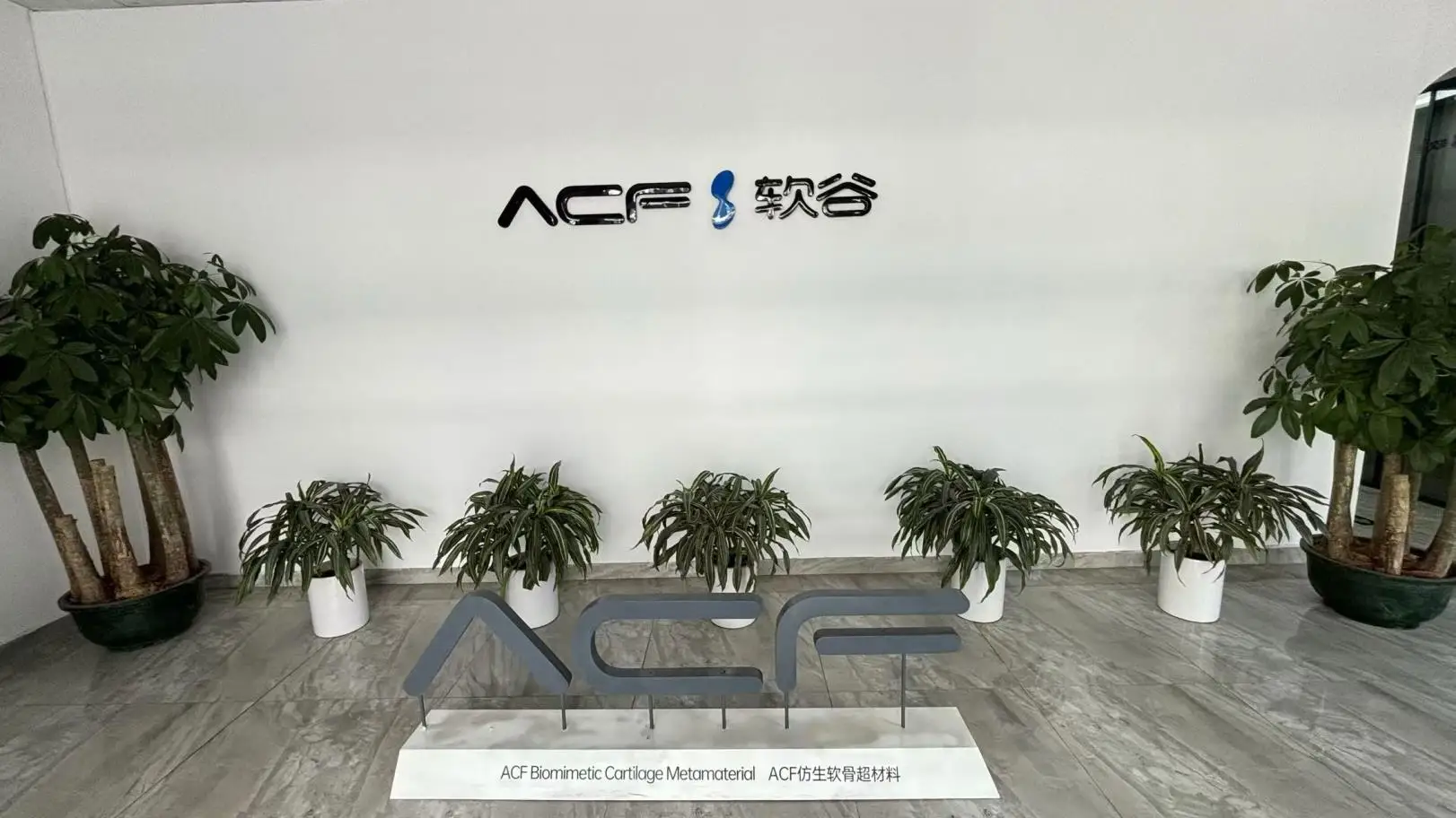 Foshan Linzhi Polymer Materials Science And Technology Co., Ltd. Protective clothing