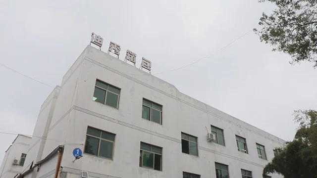Yiwu Dixiu Luggage Co., Ltd Travel bags