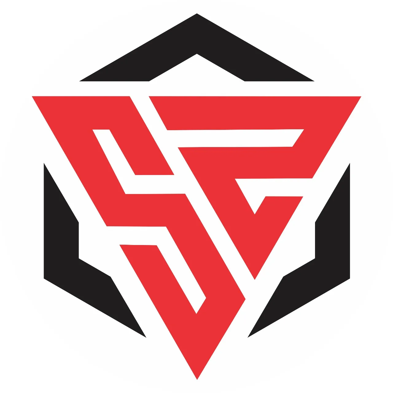 Silkzone Inds logo
