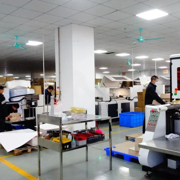 d592gecs8i3c73eb8fu0.webp