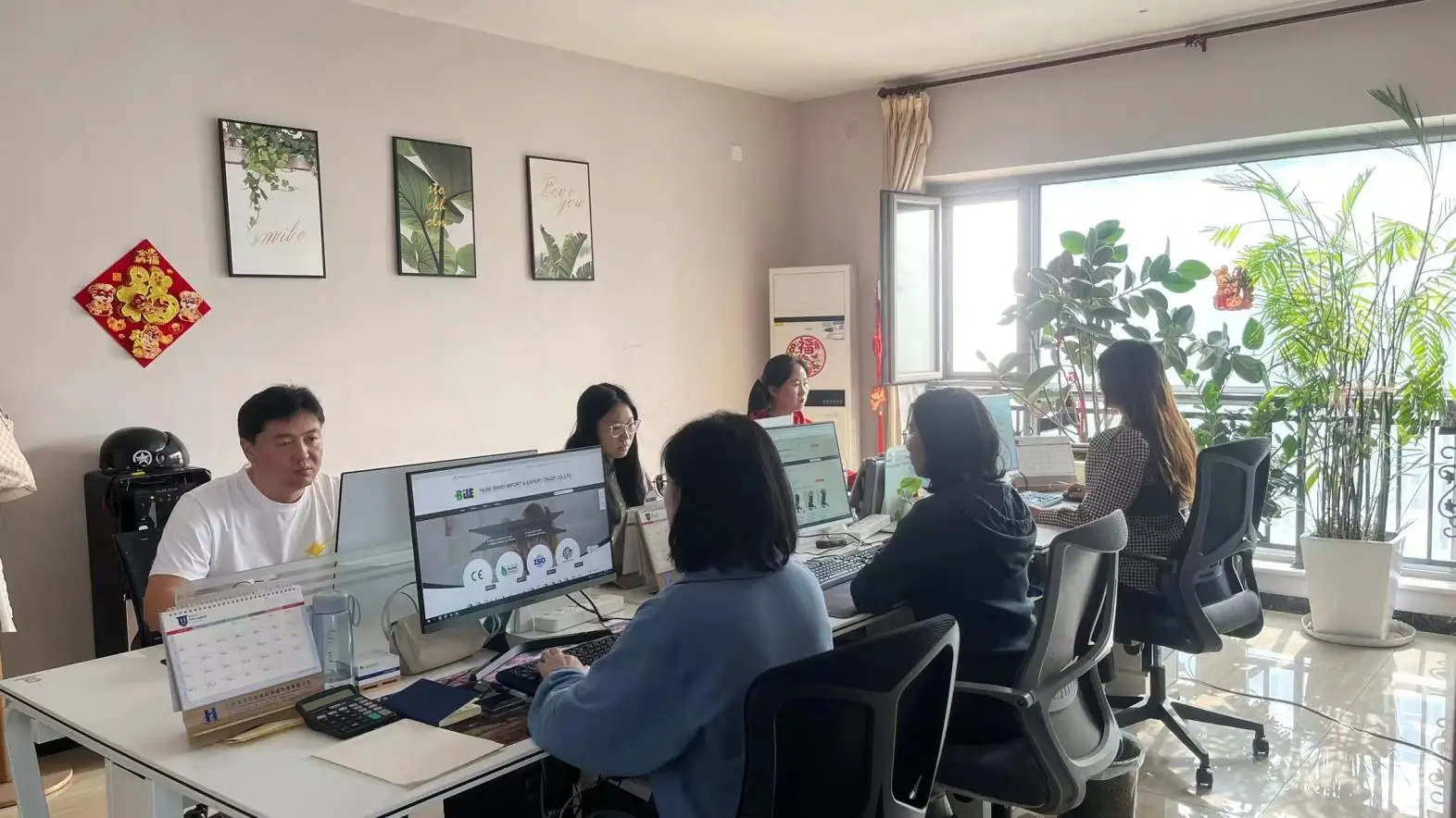 Hebei Biwei Import&export Trade Co., Ltd. Baby Walker