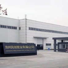 Cangzhou Minchuang Pipe Fitting Co., Ltd. Carbon Steel Pipe Nipple