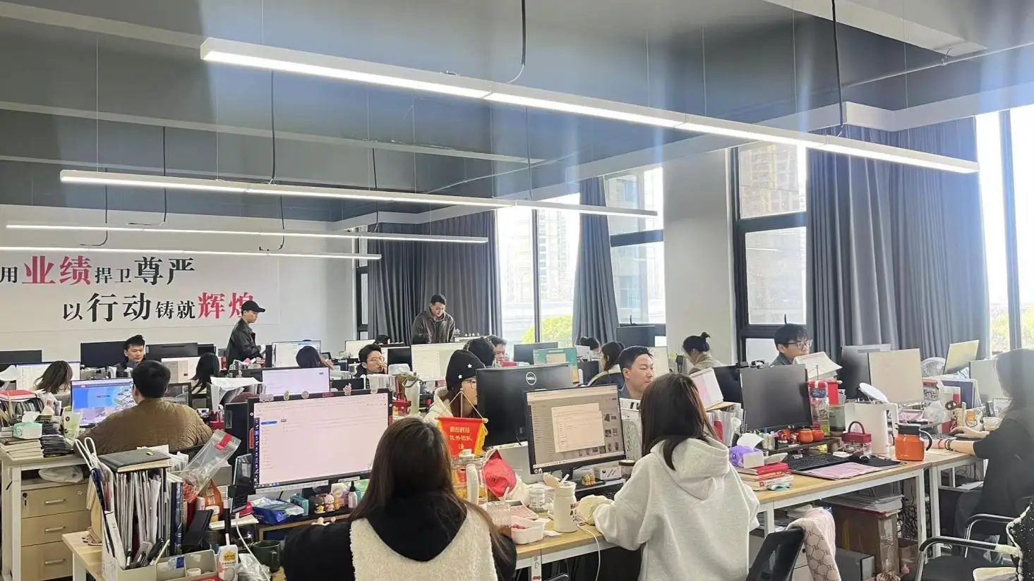 Hangzhou Jiang Technology Co., Ltd. DC/AC Inverter