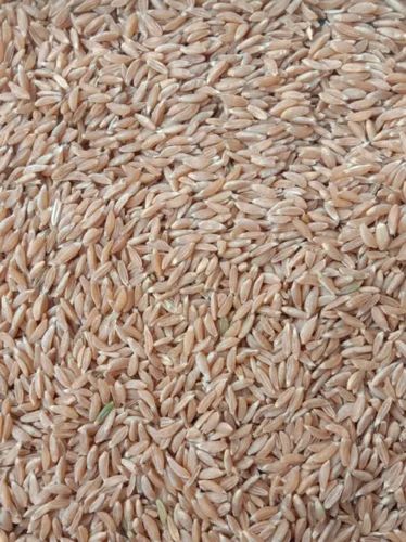 V S Natural Agro Foods Khapli Wheat Grain