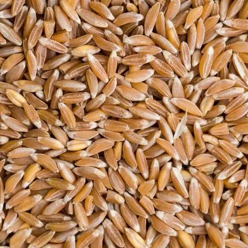 Sidhivinayak Agro Organic Khapli Wheat