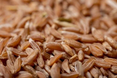 Vivekanandha Food Products Organic Khapli Wheat