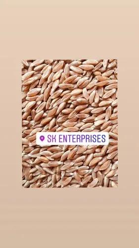 SK Agro Foods Processing Organic Khapli Emmer Wheat Flour