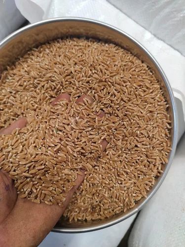 Organic Khapli Wheat
