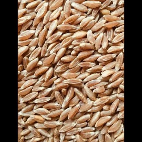 RD Enterprises Light Brown Organic Khapli Wheat
