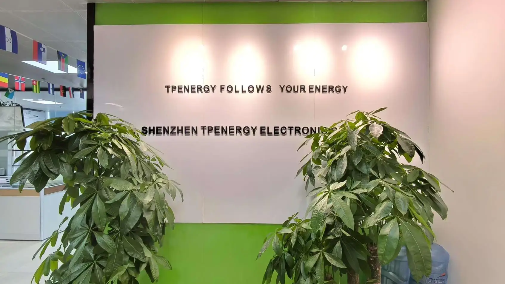 ShenZhen TPENERGY Electronic Co.,Ltd factory image 2