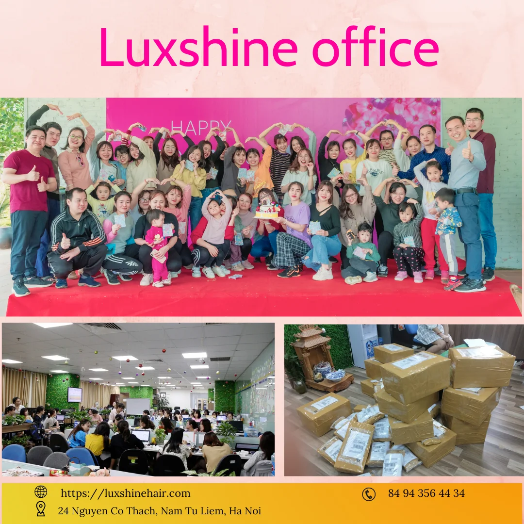 LUXSHINE IMPORT EXPORT JOINT STOCK COMPANY Human Hair Extensions