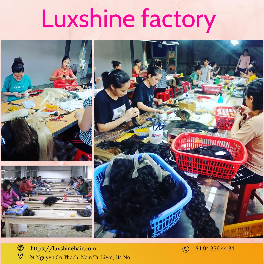 LUXSHINE IMPORT EXPORT JOINT STOCK COMPANY Vietnamese Remy Hair