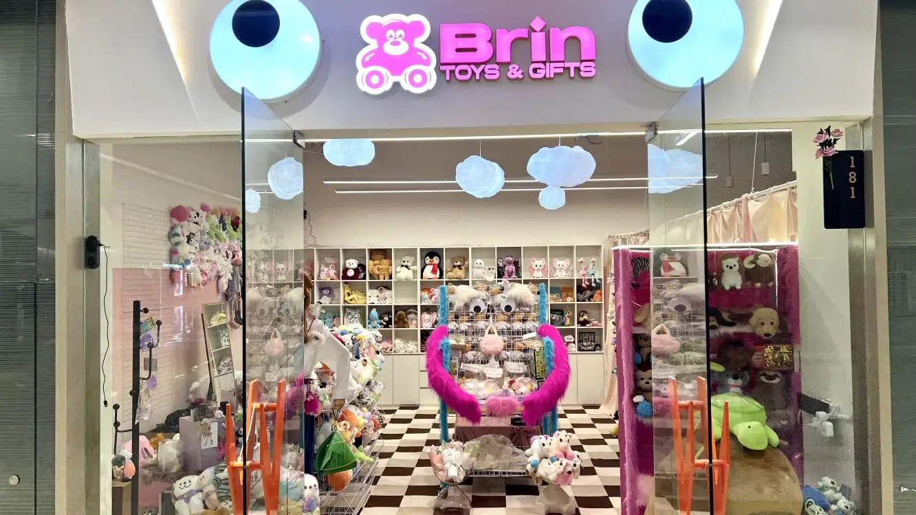 Shenzhen Brin Technology Co., Ltd. Educational Toys