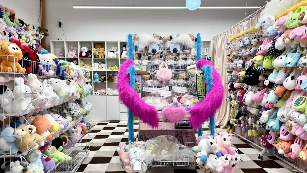 Shenzhen Brin Technology Co., Ltd. Pet Toys
