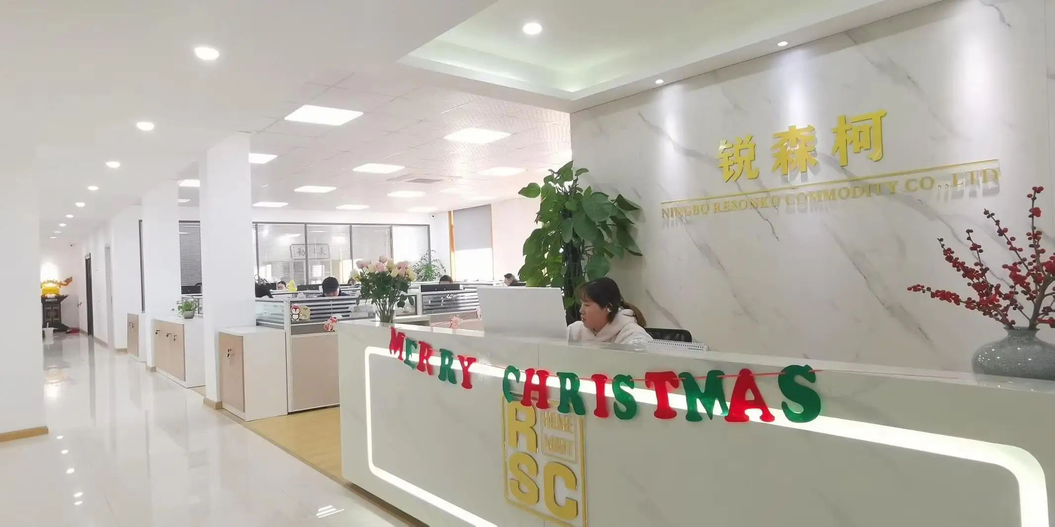 Ningbo Resonko Commodity Co., Ltd. Storage Organizers