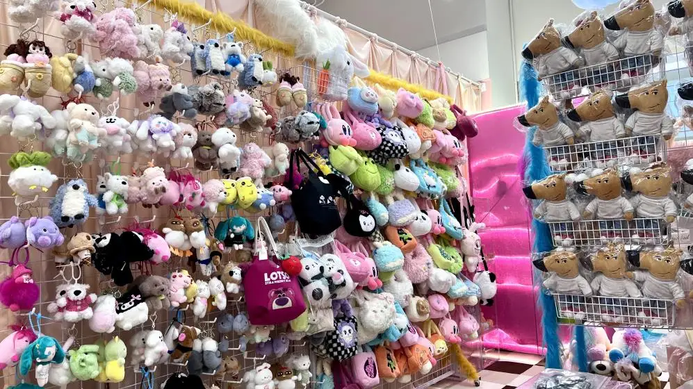 Shenzhen Brin Technology Co., Ltd. Educational Toys