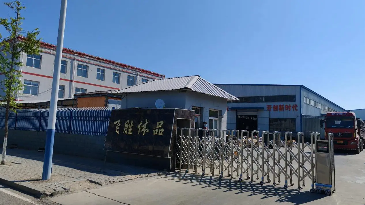 Dingzhou Feisheng Sports Goods Co., Ltd Dumbbells