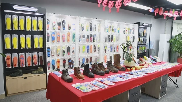 Quanzhou Zhizu Energy Technology Co., Ltd. Insole