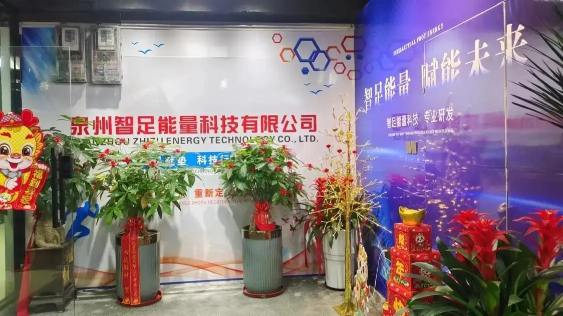 Quanzhou Zhizu Energy Technology Co., Ltd. Orthotic Insoles