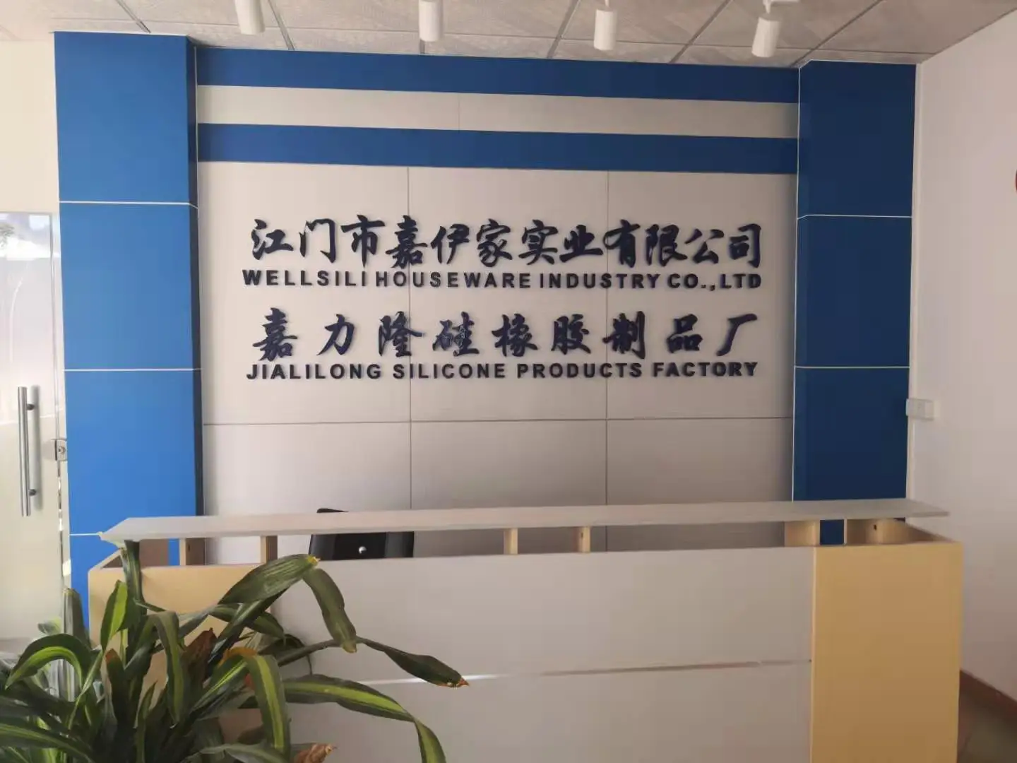Wellsili Houseware Industry Co., Ltd. factory image 1