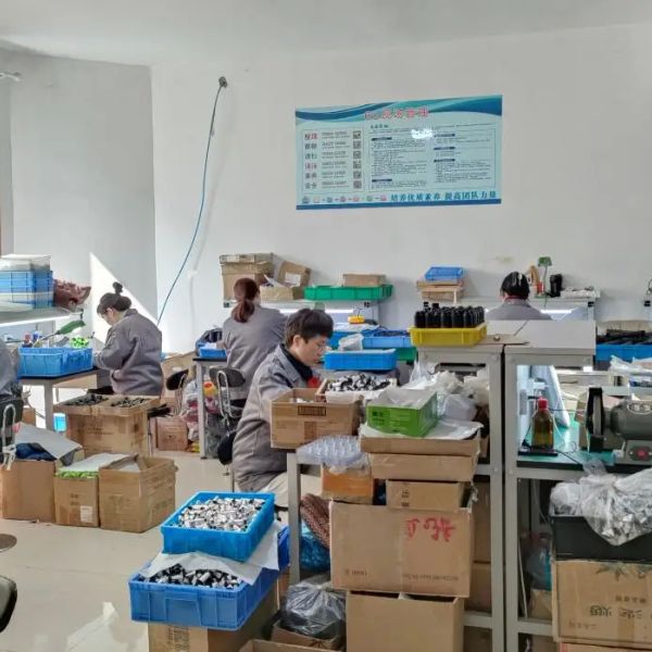 d59ic9cs8i3c73ccsicg.webp