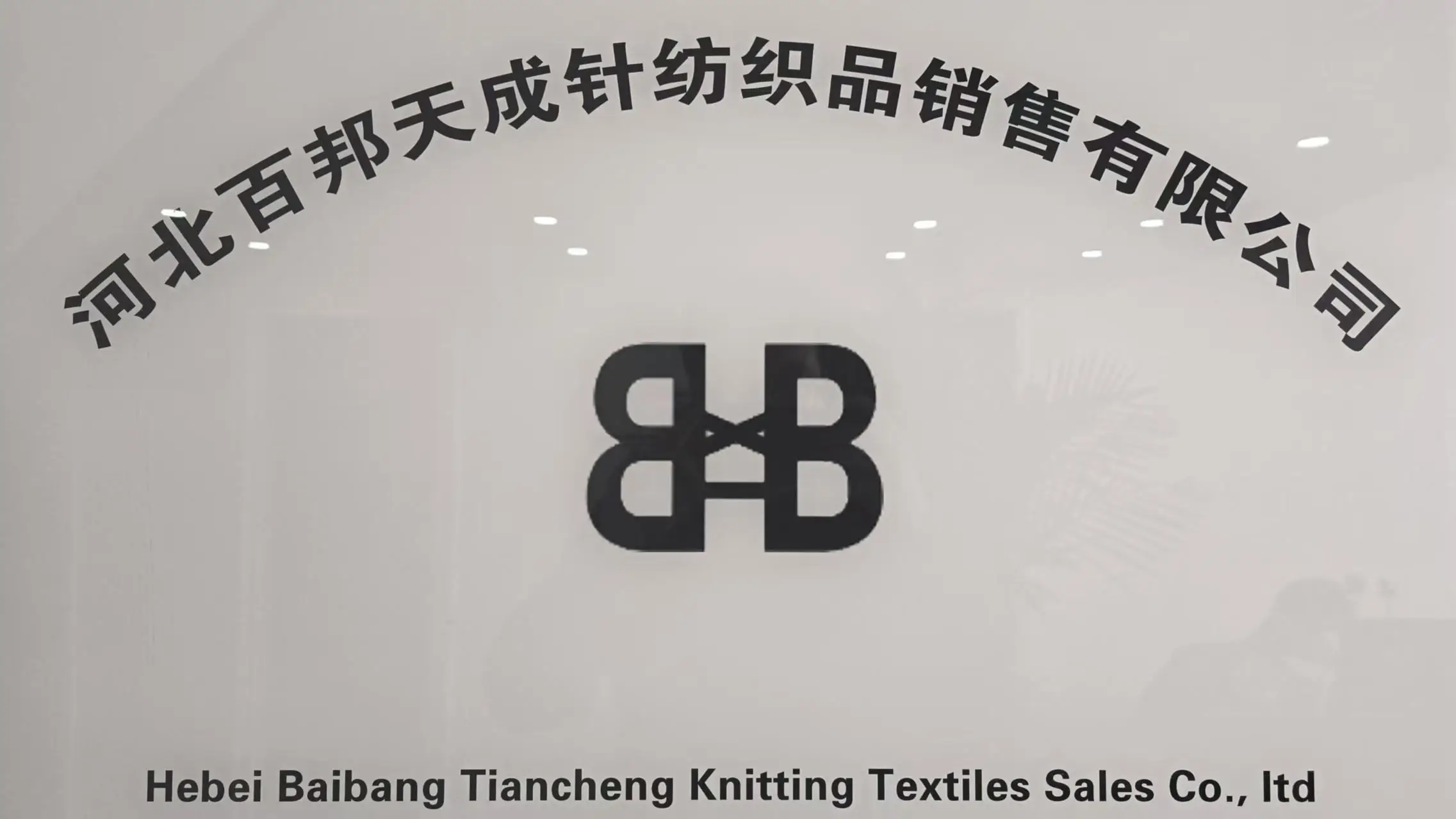 Hebei Baibang Xinhui Knitting Textile Sales Co.,Ltd Bath Towel
