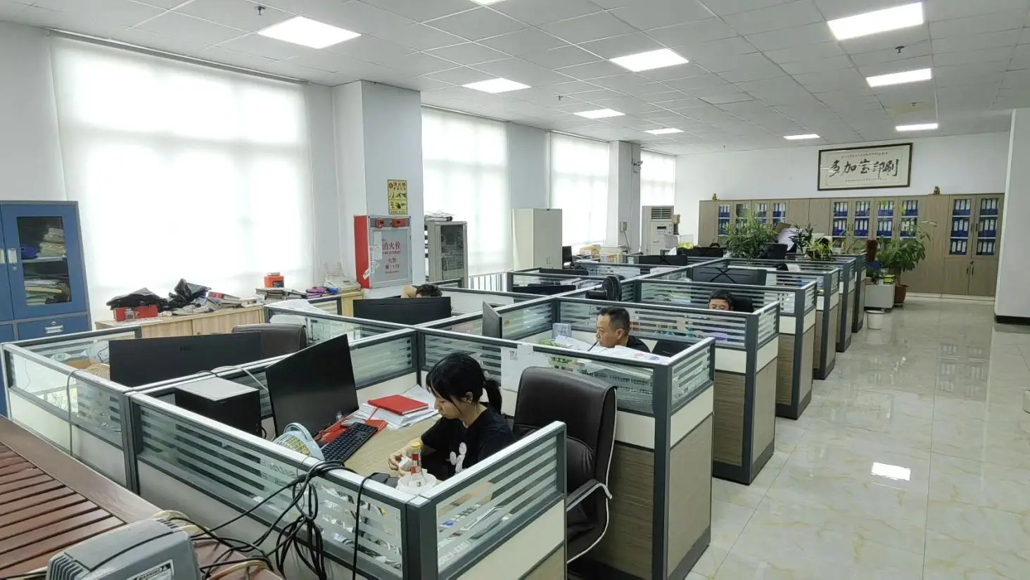 Dongguan Duojiabao Printing Co., Ltd. Packaging Label