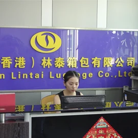 Dongguan Lintai Luggage Co., Ltd. EVA Tool Case