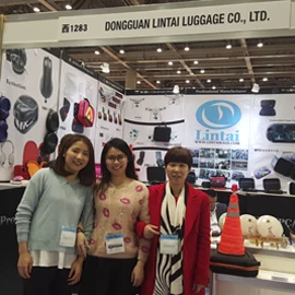 Dongguan Lintai Luggage Co., Ltd. EVA Storage Case