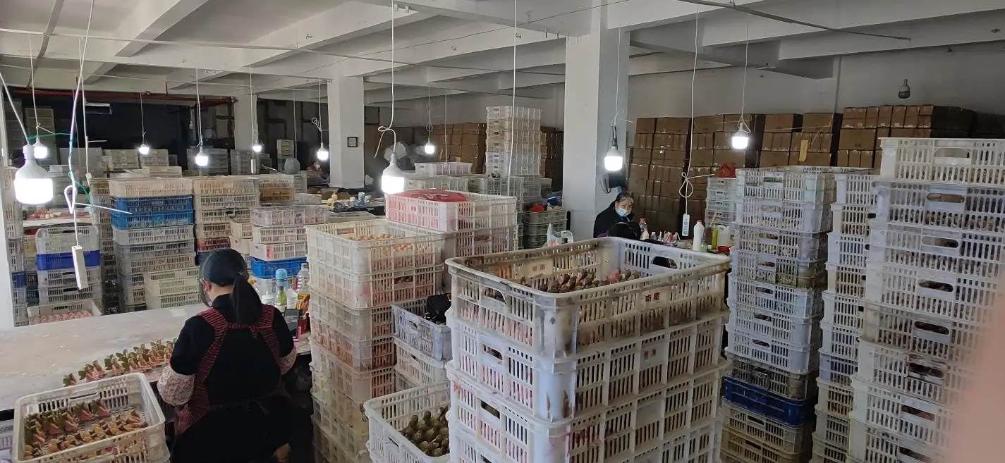 Fujian Dehua Shengsheng Technology Co., Ltd. Ceramic Vases