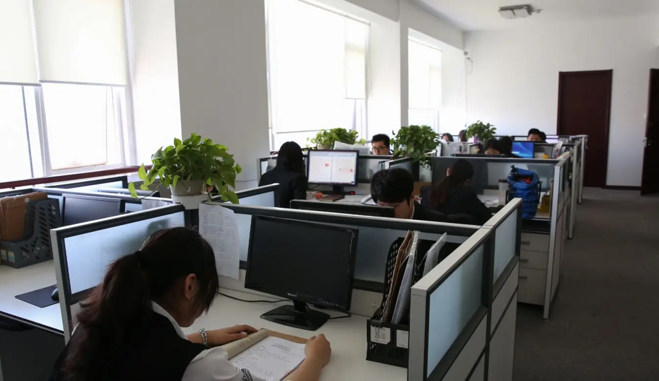 Changzhou Melee Trading Co., Ltd. Women's Dresses