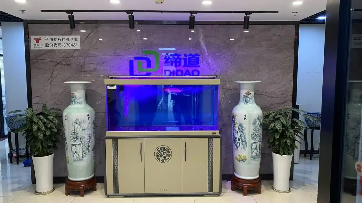 Tianjin Didao Biotechnology Co., Ltd. Waist Support