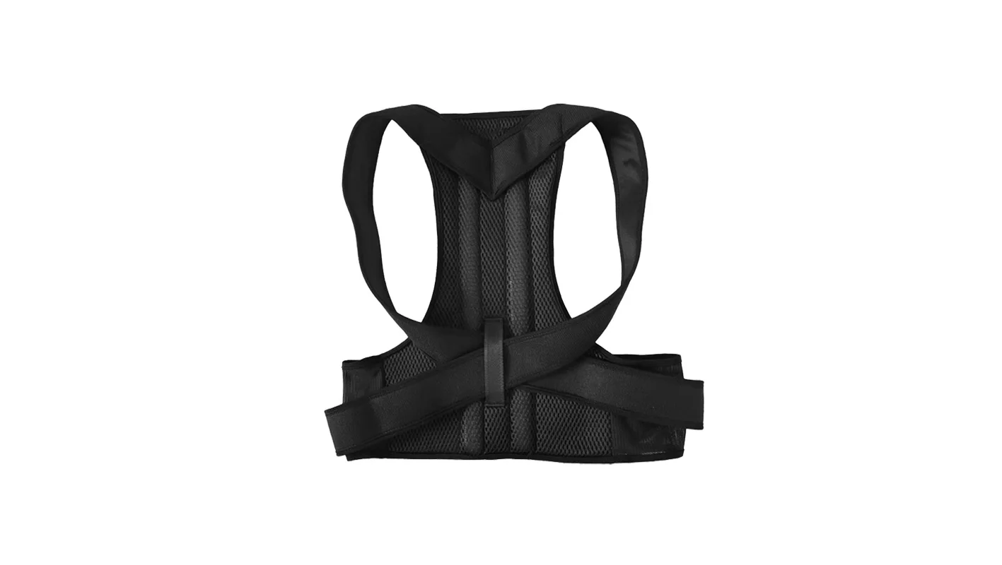 Tianjin Didao Biotechnology Co., Ltd. Waist Support