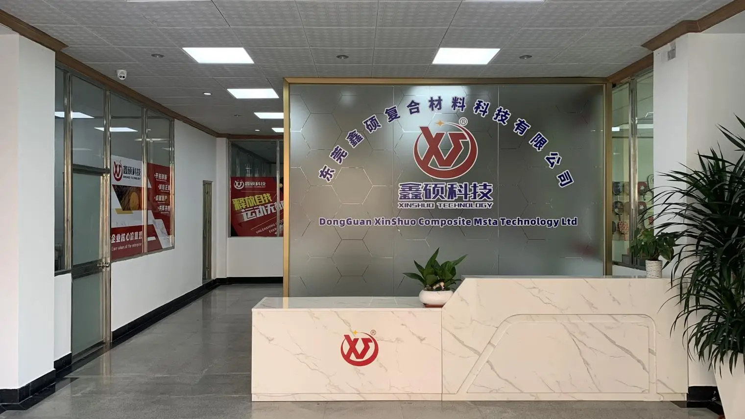 Dongguan Xinshuo Composite Material Technology Co., Ltd. Badminton Racket