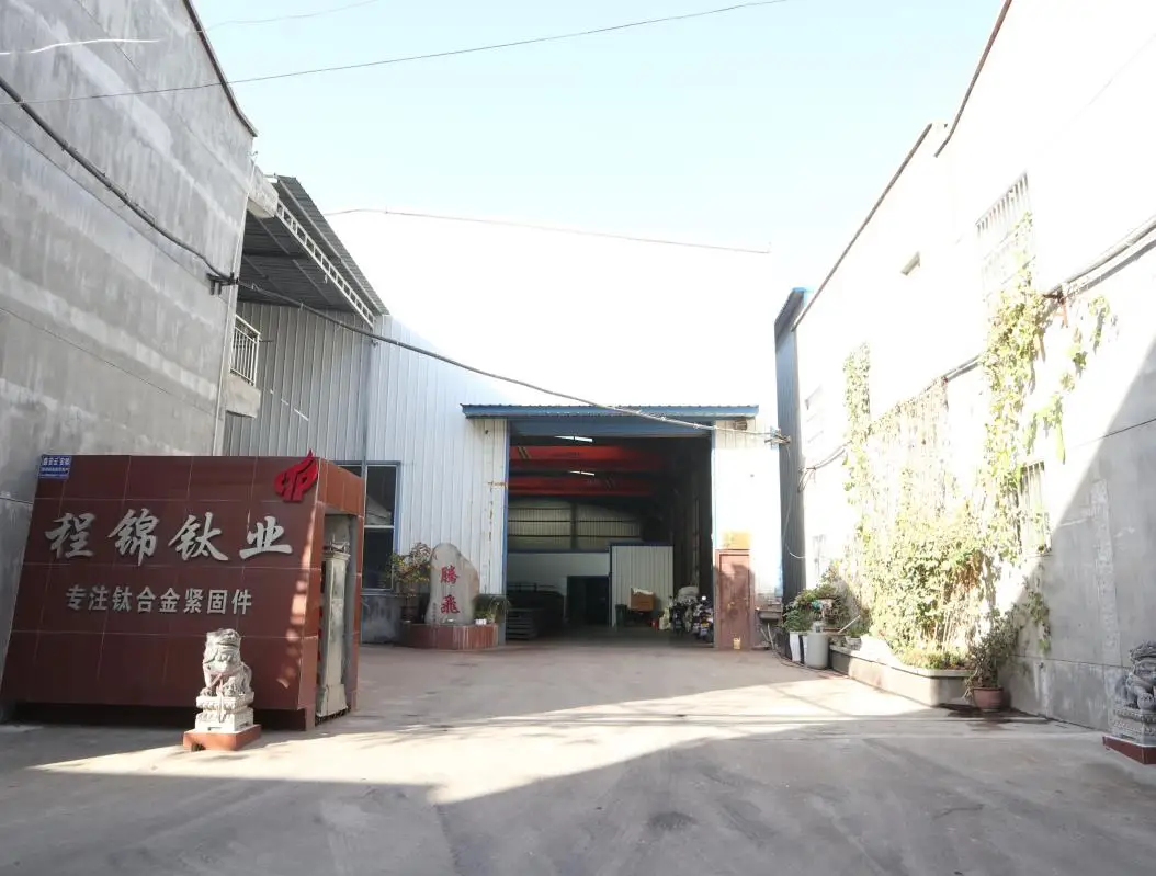 Baoji Chengjin Titanium Industry Co., Ltd. Titanium Screw