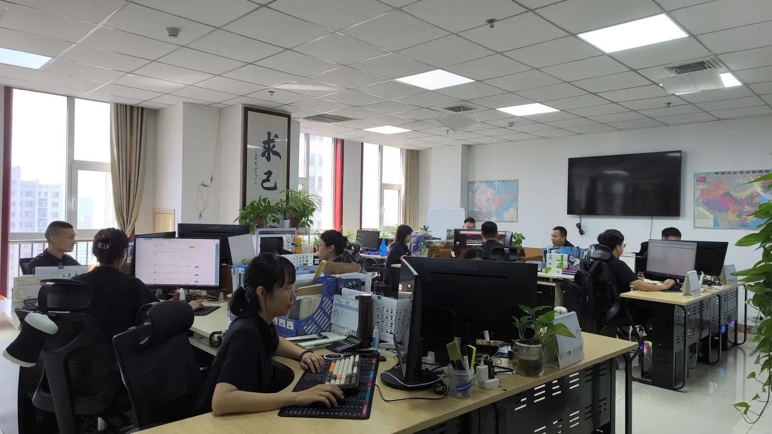 Jinan Kelid Machinery Co., Ltd. Pet Food Production Line