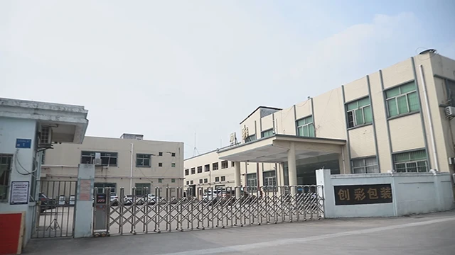 Dongguan Chuangcai Packaging Materials Co., Ltd. Drink Pouch Water Bag