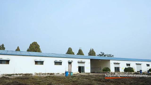 Hebei Ruiyaohui Import And Export Trade Co., Ltd. vibrator