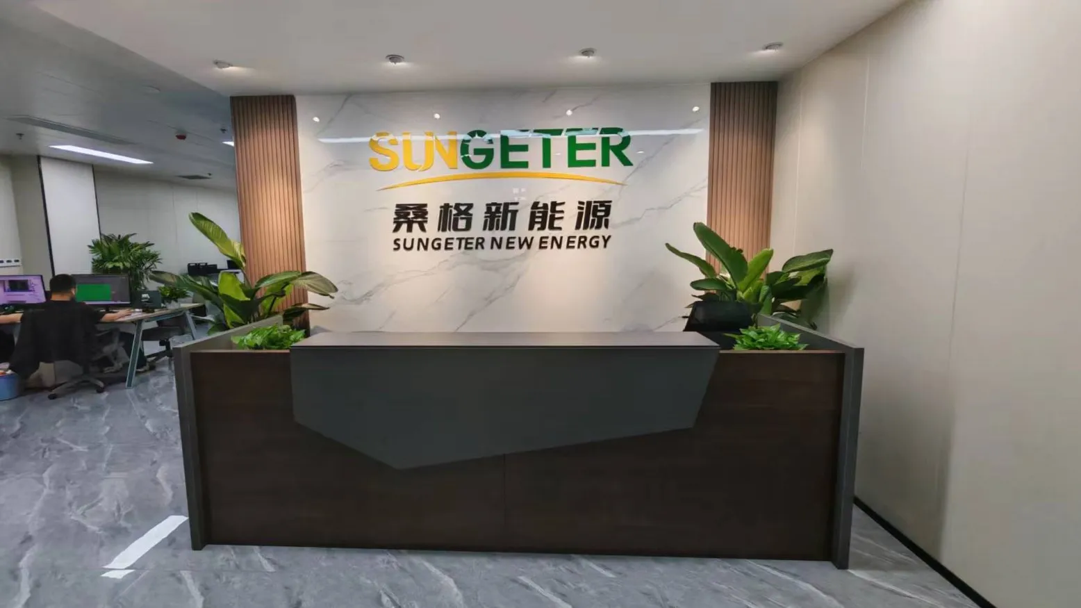 Anhui Sungeter New Energy Technology Co., Ltd. Solar Inverter