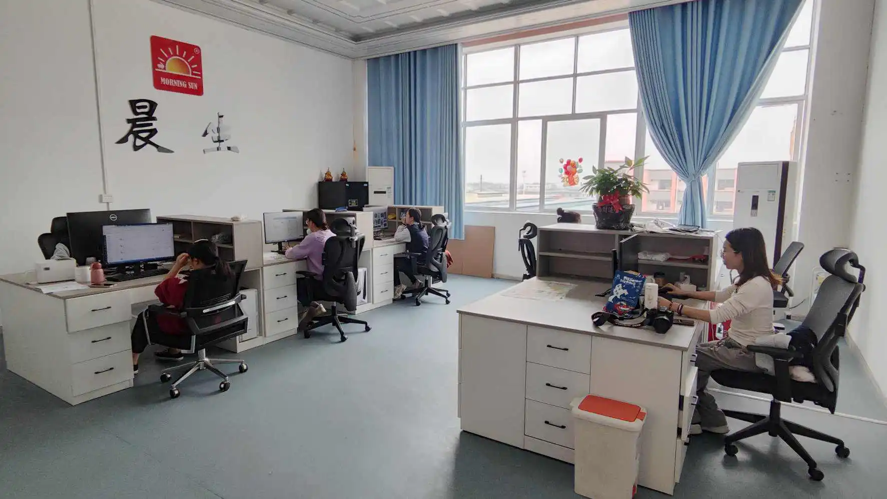 Pingnan Chensheng Garment Accessories Co., Ltd. Heat Transfer PET Film