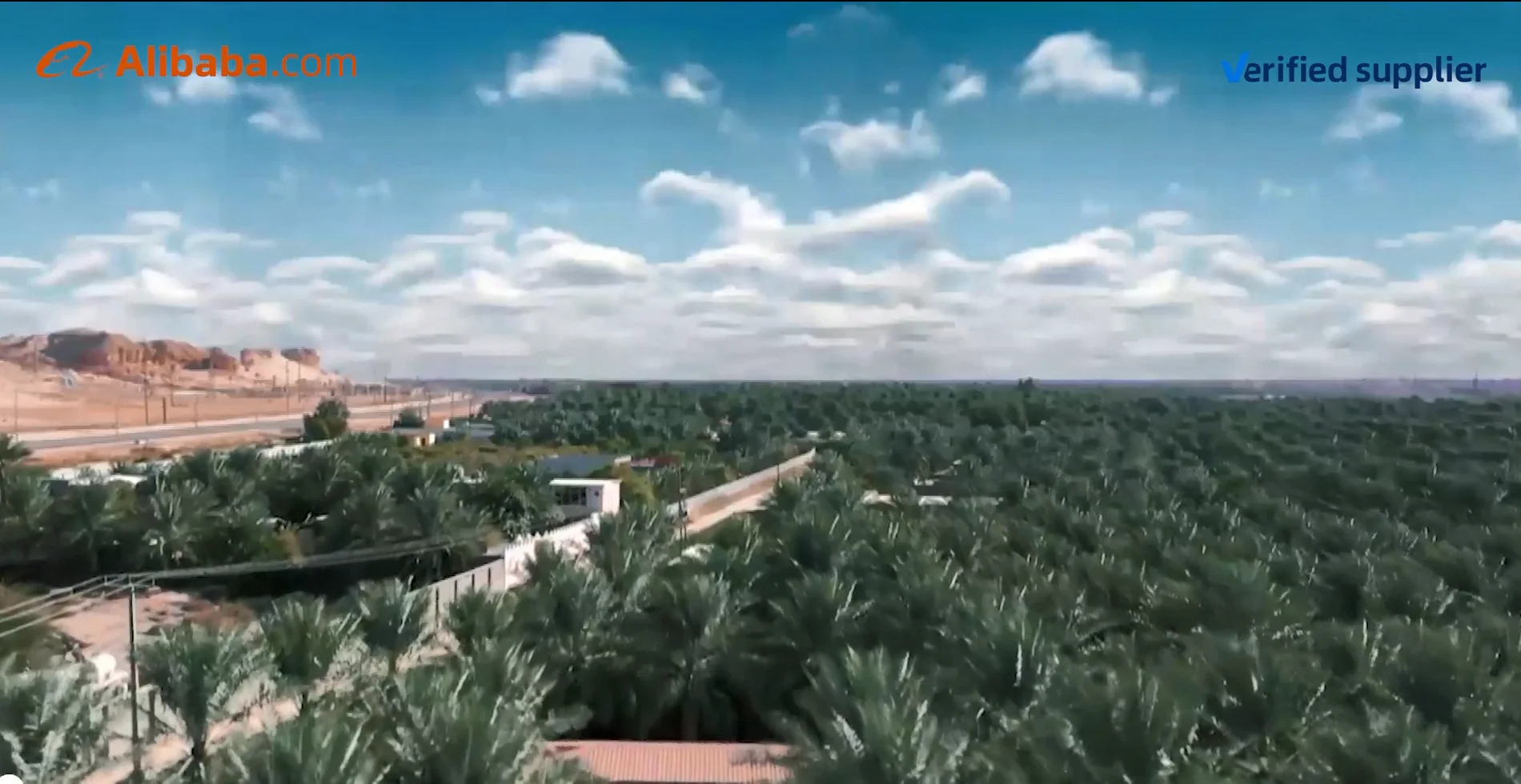 Al Ameen Dates Factory factory image 1
