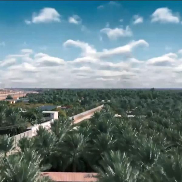 d59iqj4s8i3c73ccts50.webp