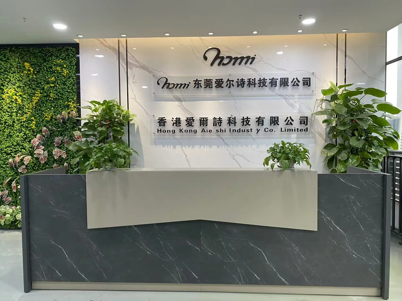 Dongguan Aiershi Technology Co., Ltd. Vibrator