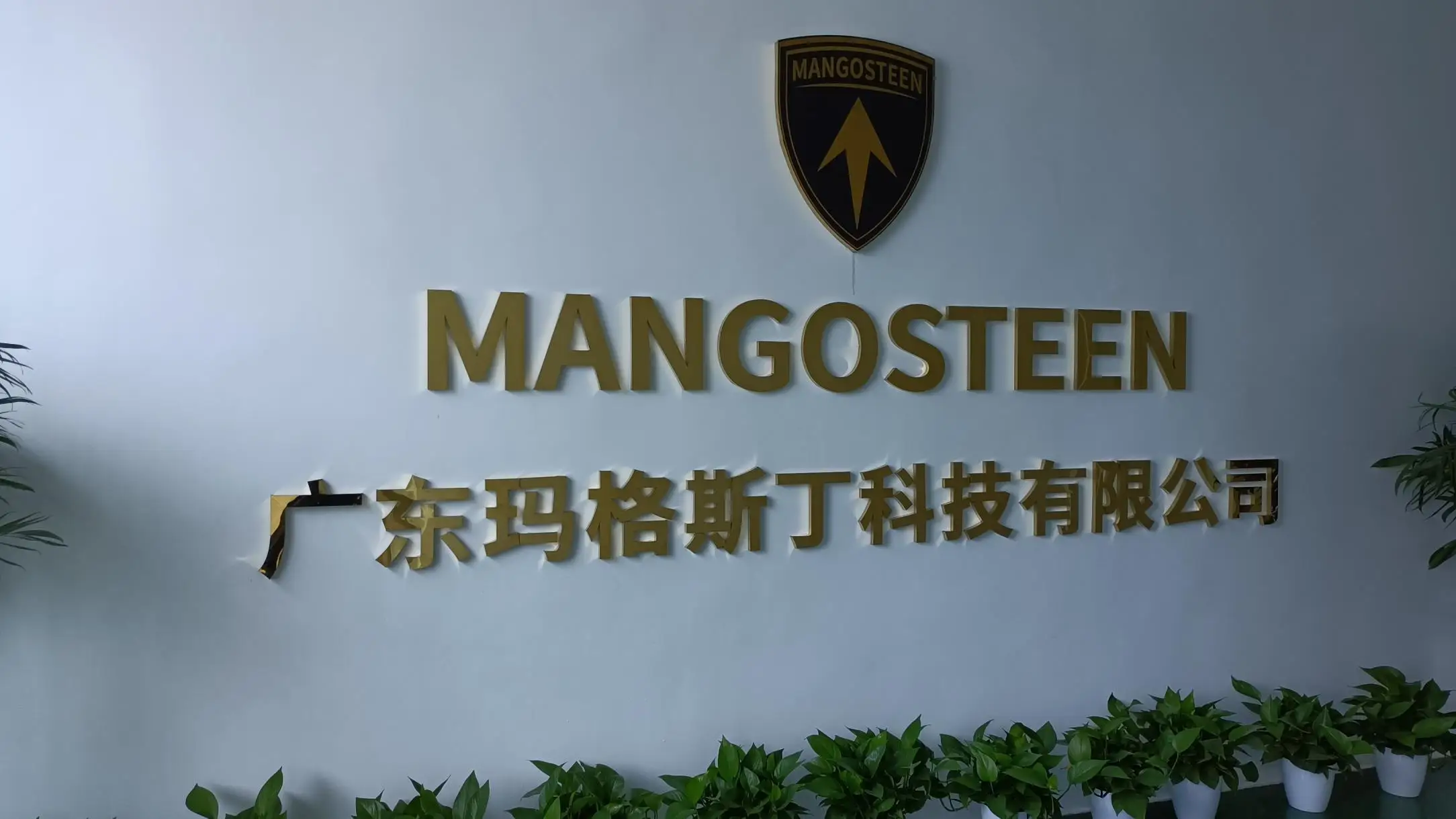 Guangdong Mangosteen Technology Co., Ltd. Electric Scooter