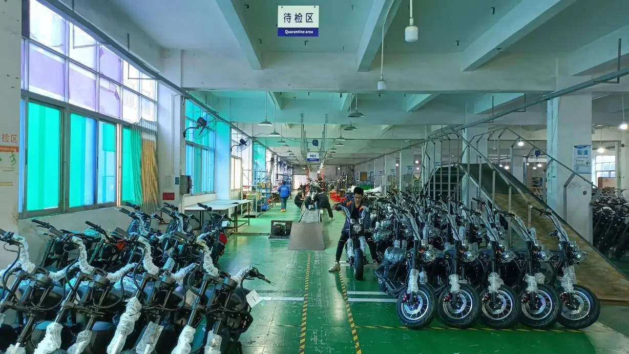 Guangdong Mangosteen Technology Co., Ltd. Citycoco Chopper