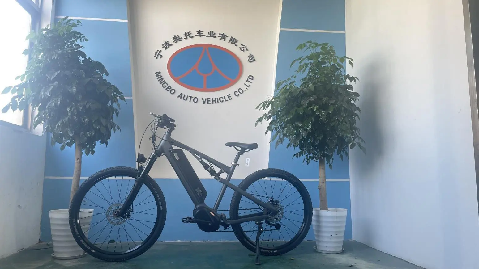 Ningbo Auto Vehicle Co., Ltd. City Bikes