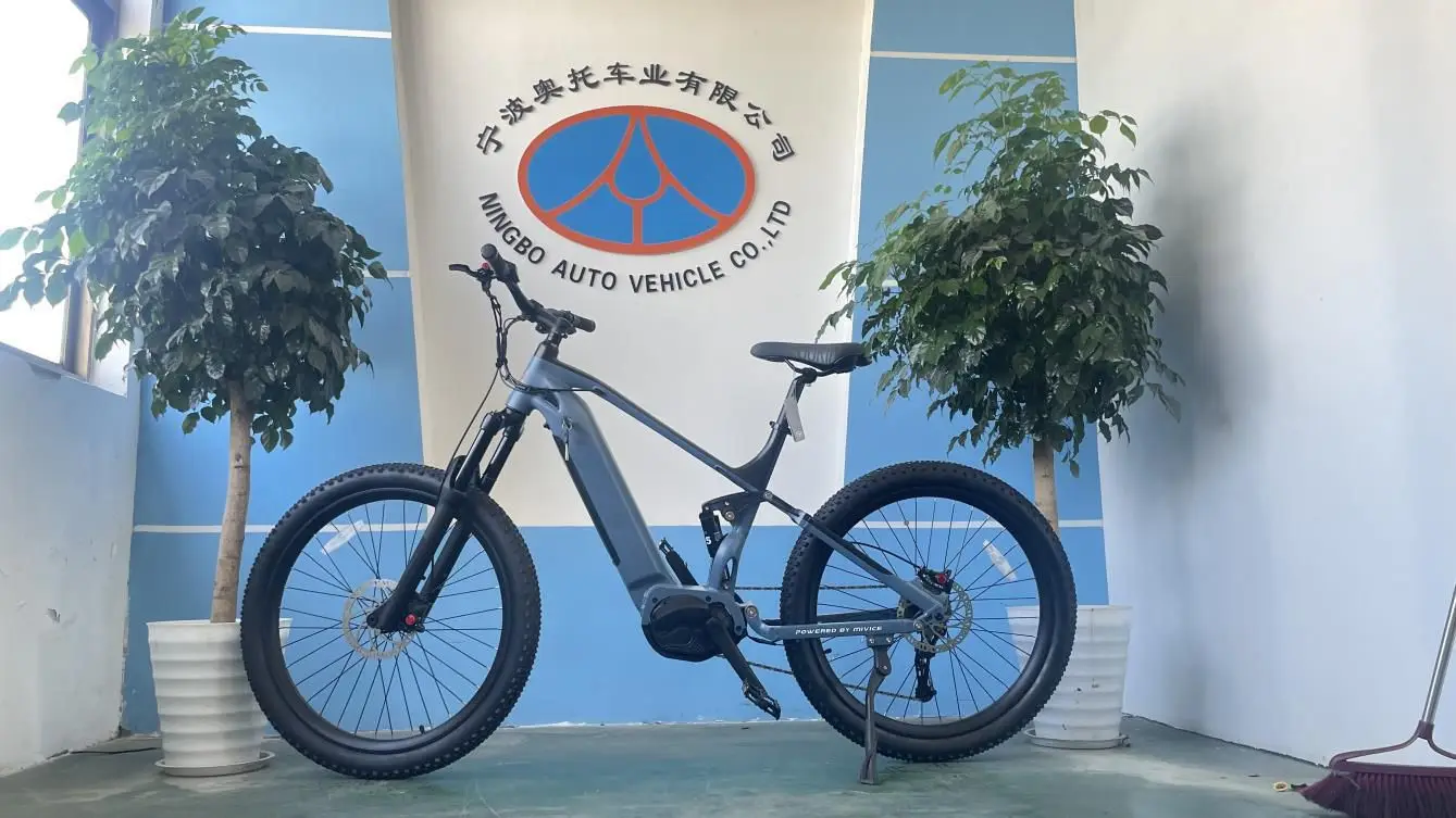 Ningbo Auto Vehicle Co., Ltd. Electric Bikes