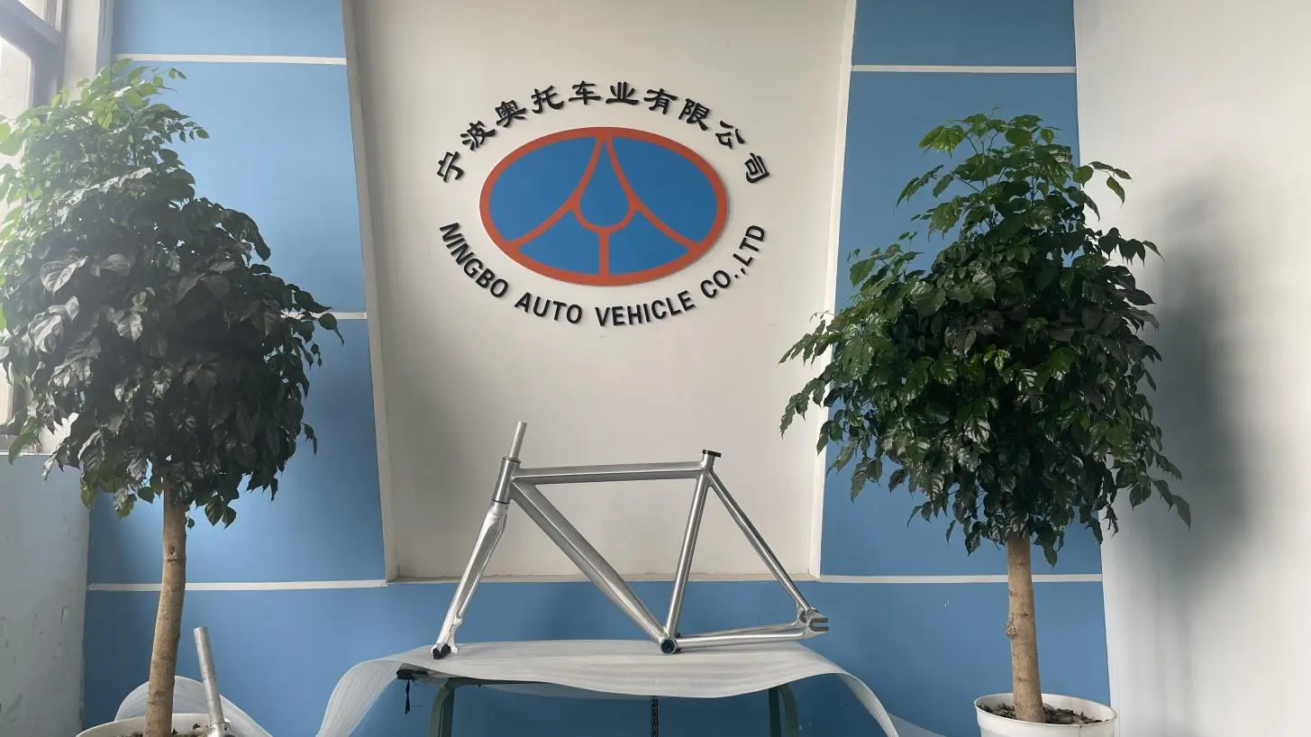 Ningbo Auto Vehicle Co., Ltd. Bicycle Frames