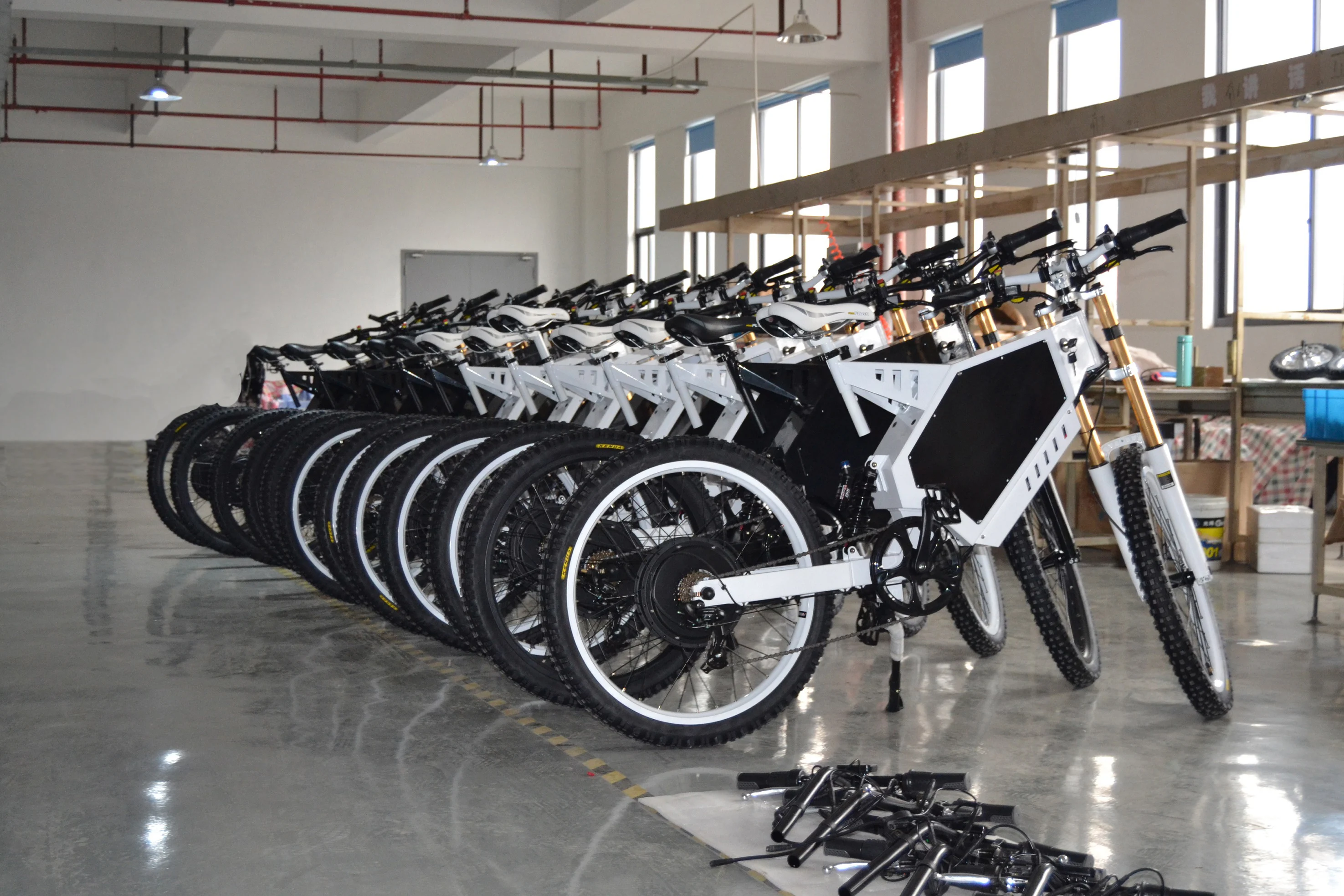 Boneng Electric Appliance (Changzhou) Co., Ltd. Electric Bike